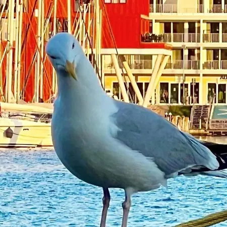 Zum Rethberg 3* Lübstorf