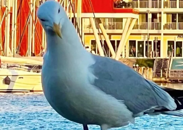 Zum Rethberg 3* Lübstorf