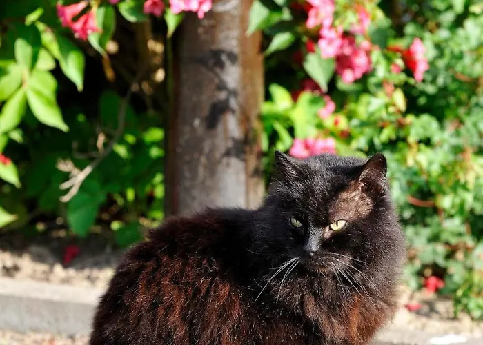 Konukevi Zum Rethberg